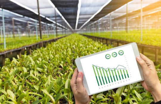 agriculture-digitilisation-n-traceability