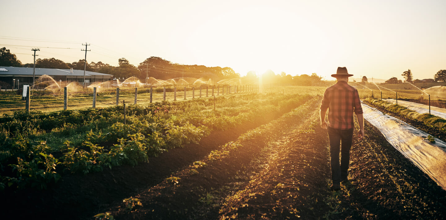 Sustainable agriculture - Safe Haven Solutions